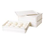 Cambro Pizza Dough Boxes And Covers image